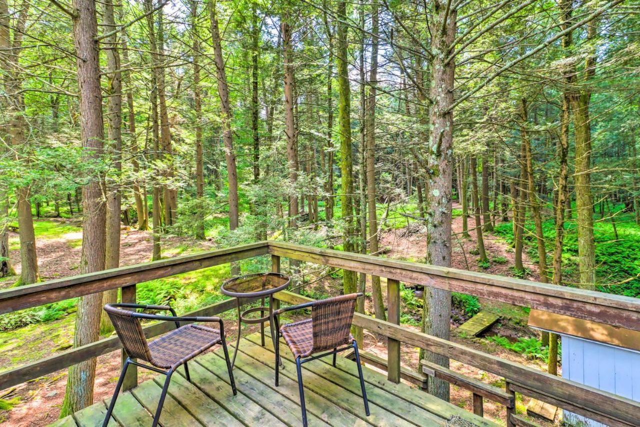 Holiday home Secluded And Quiet Pocono Mountain With Hot Tub!